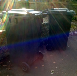Two wheelie bins in the morning sunlight