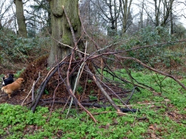 Temporary shelter made from roughly assembled sticks